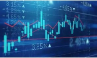 金安国纪：2024年盈利3705